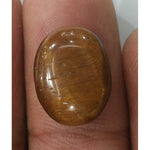 Load image into Gallery viewer, Tiger Eye