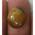 Load image into Gallery viewer, Tiger Eye