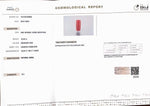 Load image into Gallery viewer, 10.52/Carat Natural Cylindrical Red Coral (1800)