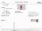 Load image into Gallery viewer, 11.94/Carat Natural Cylindrical Red Coral (1800)