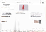 Load image into Gallery viewer, 8.41/Carat Natural Cylindrical Red Coral (1800)