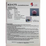 Load image into Gallery viewer, 10.29 Ratti Natural Neo Burma Ruby with Govt. Lab Certificate-(2331)