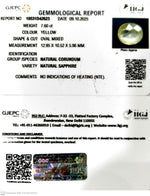 Load image into Gallery viewer, 7.60/CT Natural Yellow Sapphire With Govt Lab Certificate (12210)