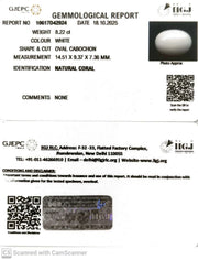 8.22/CT White Coral with Govt. Lab Certified (1500)