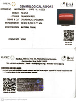 Load image into Gallery viewer, 12.62/CT Natural Red Coral With Govt. Lab Certificate (1800)