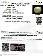 Load image into Gallery viewer, 8.50/CT Natural Yellow Sapphire With Govt Lab Certificate (4551)