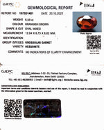 Load image into Gallery viewer, 6.59/CT Natural Govt. Lab Certified Ceylonese Gomed-(1221)