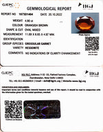 Load image into Gallery viewer, 4.90/CT Natural Govt. Lab Certified Ceylonese Gomed-(1221)