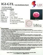 Load image into Gallery viewer, 9.02 Ratti Natural New Burma Ruby with Govt Lab Certificate-(2331)