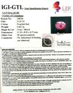 Load image into Gallery viewer, 6.04 Ratti Natural New Burma Ruby with Govt Lab Certificate-(3441)