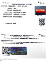 Load image into Gallery viewer, 7.58/CT Natural Red Coral With Govt. Lab Certificate-10833D43742