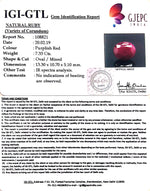 Load image into Gallery viewer, 8.14 Ratti Natural Neo Burma Ruby with Govt. Lab Certificate-(2331)