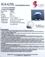 Load image into Gallery viewer, 9.21 Ratti Natural Blue Sapphire With Govt Lab Certified-(2331)