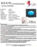 Load image into Gallery viewer, 14.17 Ratti Turquoise With Govt. Lab Certificate-(610)