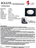 Load image into Gallery viewer, 8.87/CT Natural Fire Opal with Govt. Lab Certificate-3441