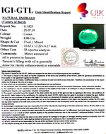 Load image into Gallery viewer, 9.94 Ratti Natural Panna Stone with Govt. Lab Certificate (12210)