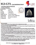 Load image into Gallery viewer, Sphatik Shree Yantra-60