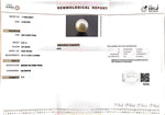 Load image into Gallery viewer, 6.97/CT Natural South Sea Pearl with Govt. Lab Certificate (1550)