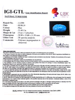Load image into Gallery viewer, 23.88 Ratti Irani Turquoise With Govt. Lab Certificate-(1221)