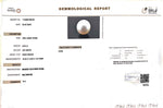 Load image into Gallery viewer, 9.04/CT Natural South Sea Pearl with Govt. Lab Certificate (1550)