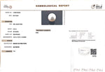 Load image into Gallery viewer, 9.20/CT Natural South Sea Pearl with Govt. Lab Certificate (1550)