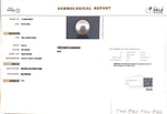 Load image into Gallery viewer, 8.45/CT South Sea Pearl with Govt. Lab Certificate-1550