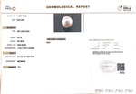Load image into Gallery viewer, 9.31/CT Natural South Sea Pearl with Govt. Lab Certificate (1550)