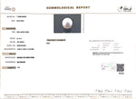 Load image into Gallery viewer, 9.14/CT Natural South Sea Pearl with Govt. Lab Certificate (1550)