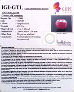 Load image into Gallery viewer, 9.46 Ratti Natural Mozambique Ruby with Govt. Lab Certificate-(12210)