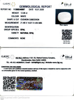 Load image into Gallery viewer, 12.08/CT Natural Opal with Govt. Lab Certificate-11388D46087