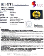 Load image into Gallery viewer, 8.40/CT Natural Yellow Sapphire with Govt Lab Certificate-78810