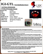 Load image into Gallery viewer, 9.10 Ratti Natural Govt. Lab Certified Ceylonese Gomed-(1221)