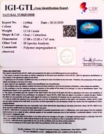 Load image into Gallery viewer, Turquoise