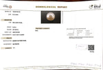 Load image into Gallery viewer, 5.28/CT Natural South Sea Pearl with Govt. Lab Certificate-1550