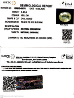 Load image into Gallery viewer, 9.4/CT Natural Yellow Sapphire With Govt Lab Certificate-12061D48976