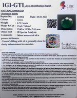 Load image into Gallery viewer, 6.71/CT Natural Panna Stone with Govt. Lab Certified-(8991)