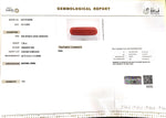 Load image into Gallery viewer, 7.39/Carat Natural Cylindrical Red Coral-1800