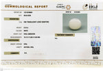 Load image into Gallery viewer, 8.16/CT Natural FIRE OPAL with Govt. Lab Certificate-12313D49881