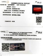 Load image into Gallery viewer, 6.53/CT Natural Red Coral With Govt. Lab Certificate-12377D50197