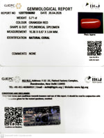 Load image into Gallery viewer, 5.71/CT Natural Red Coral With Govt. Lab Certificate-12377D50202