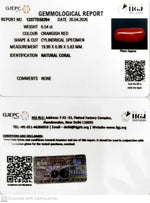 Load image into Gallery viewer, 6.54/CT Natural Red Coral With Govt. Lab Certificate-12377D50204