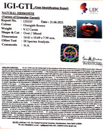 Load image into Gallery viewer, 10.12 Ratti Natural Govt. Lab Certified Ceylonese Gomed-(1221)