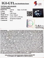 Load image into Gallery viewer, 3.89/CT Natural Aquamarine with Govt Lab Certificate-5661