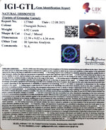 Load image into Gallery viewer, 4.92/CT Natural Govt. Lab Certified Ceylonese Gomed-(1221)