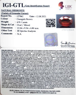Load image into Gallery viewer, 4.91/CT Natural Govt. Lab Certified Ceylonese Gomed-(1221)