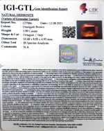 Load image into Gallery viewer, 3.99/CT Natural Govt. Lab Certified Ceylonese Gomed-(1221)