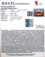 Load image into Gallery viewer, 4.86/CT Natural Govt. Lab Certified Ceylonese Gomed-(1221)