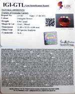 Load image into Gallery viewer, 4.94/CT Natural Govt. Lab Certified Ceylonese Gomed-(1221)