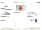 Load image into Gallery viewer, 20.09/CT Natural Triangular Red Coral-3100