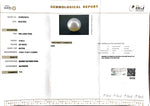 Load image into Gallery viewer, 15.99/CT South Sea Pearl with Govt. Lab Certificate-1550
